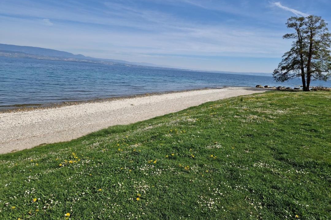 Photo of Outdoor in Thonon-les-Bains