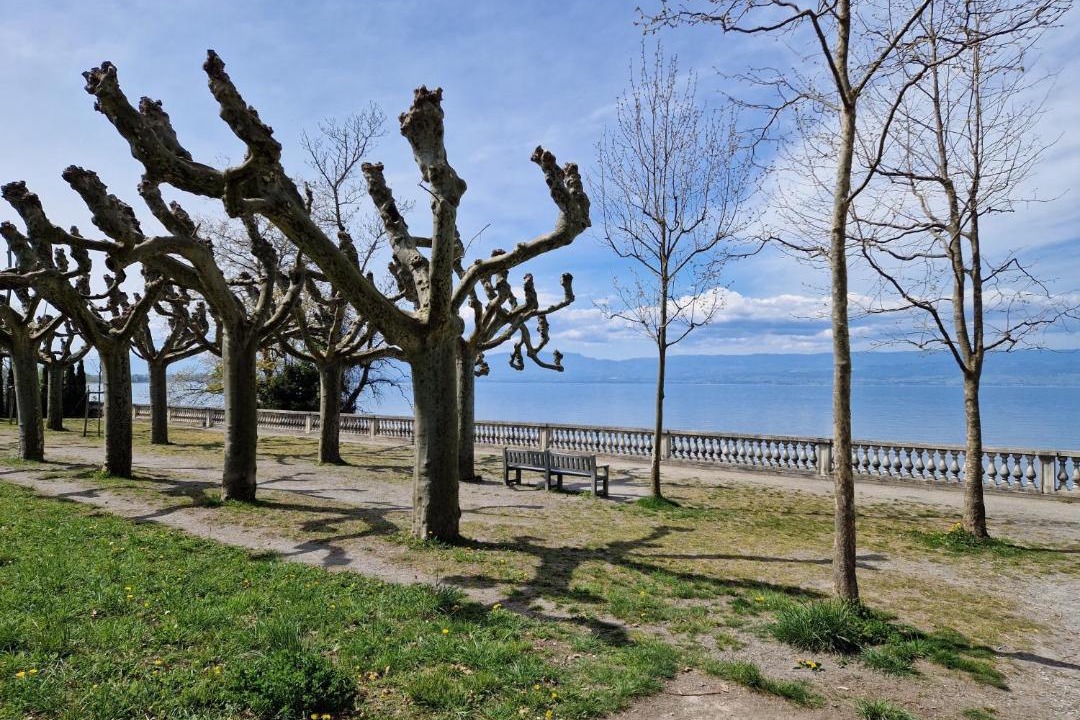 Photo of Outdoor in Thonon-les-Bains