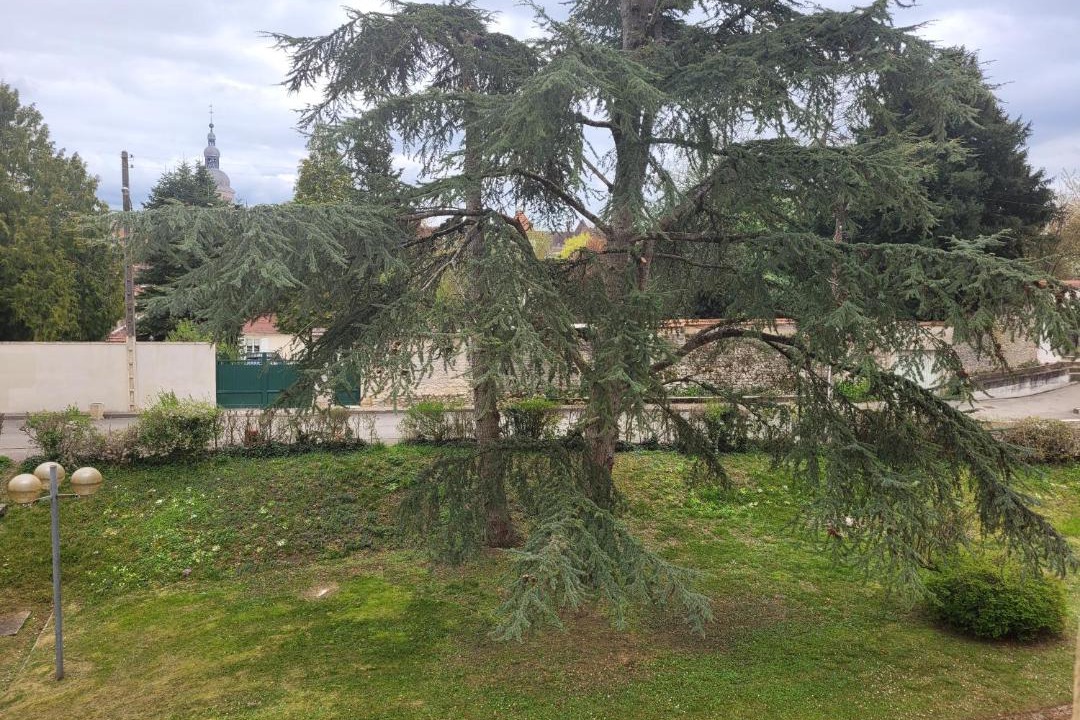 Photo of Others in Gray