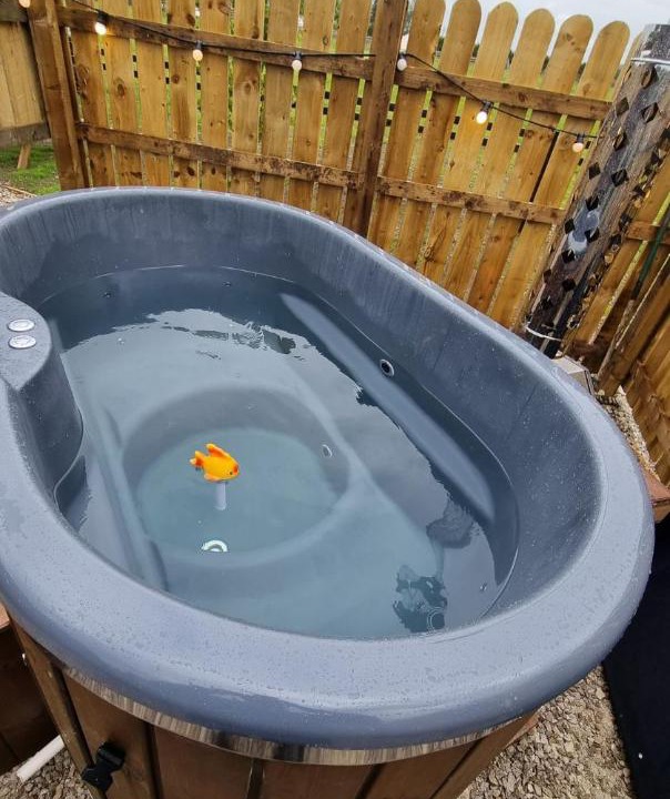 Photo of Others in York