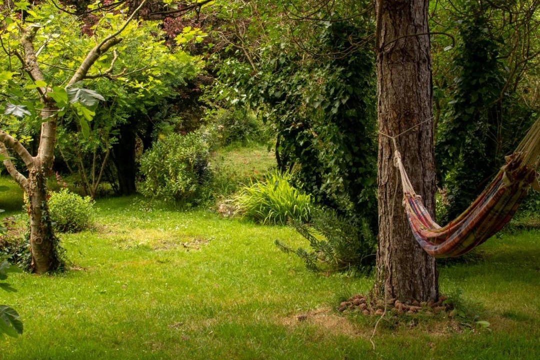 Photo of Others in Orval