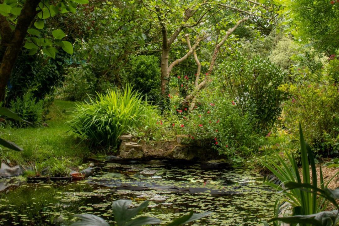 Photo of Others in Orval