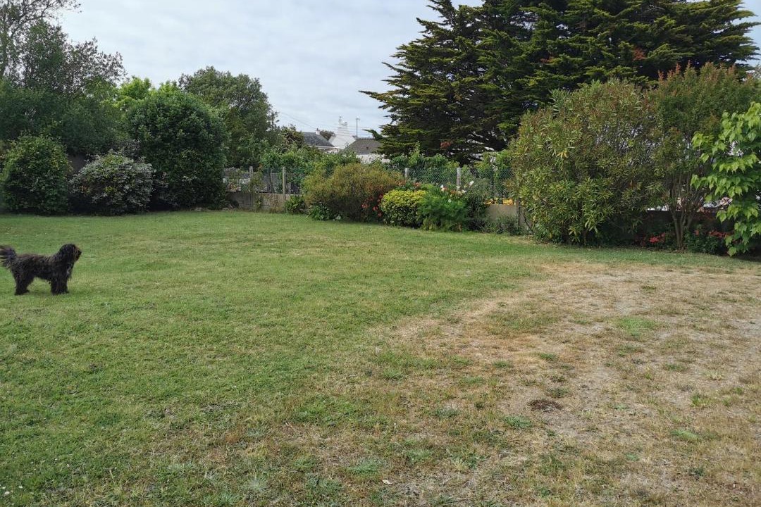 Photo of Others in Le Croisic