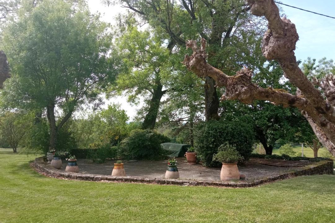 Photo of Others in Andressac
