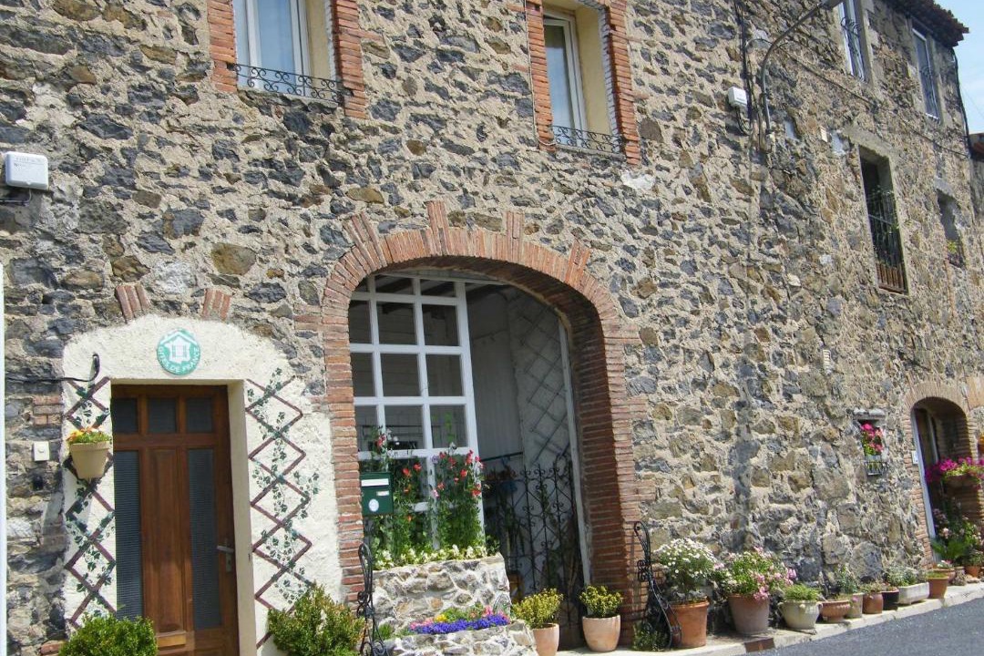 Photo of Others in Prugnanes