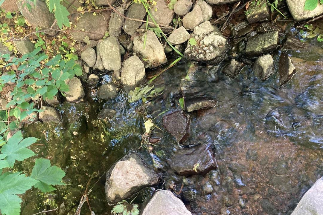 Photo of Others in Hasle