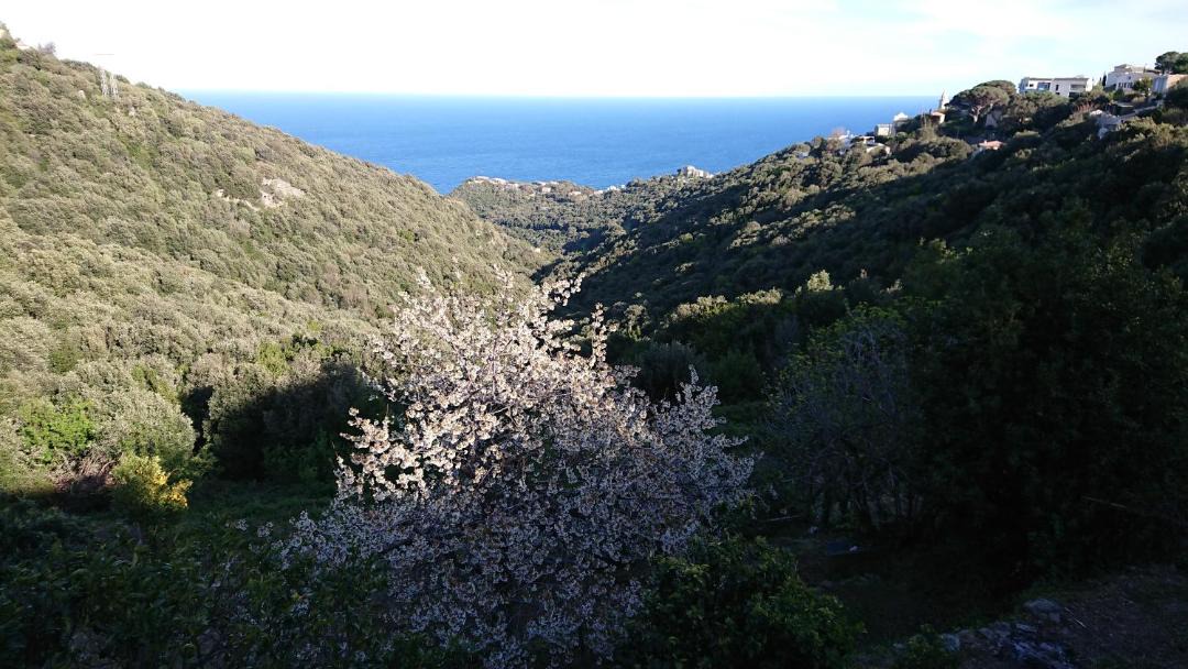 Photo of Others in Ville-di-Pietrabugno