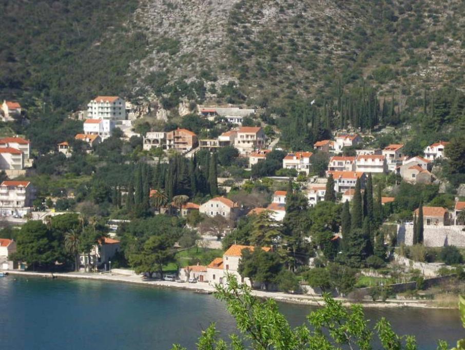 Photo of Others in Zaton