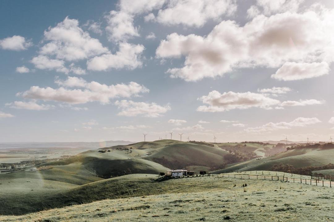 Photo of Others in Agnes