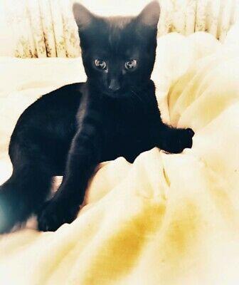 Photo of Bedroom in Raunds