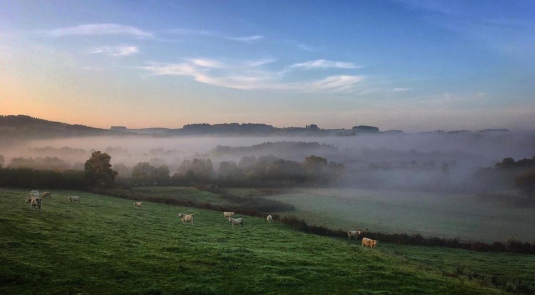 Photo of Others in Vauclaix