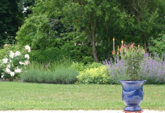 Photo of Others in Aze