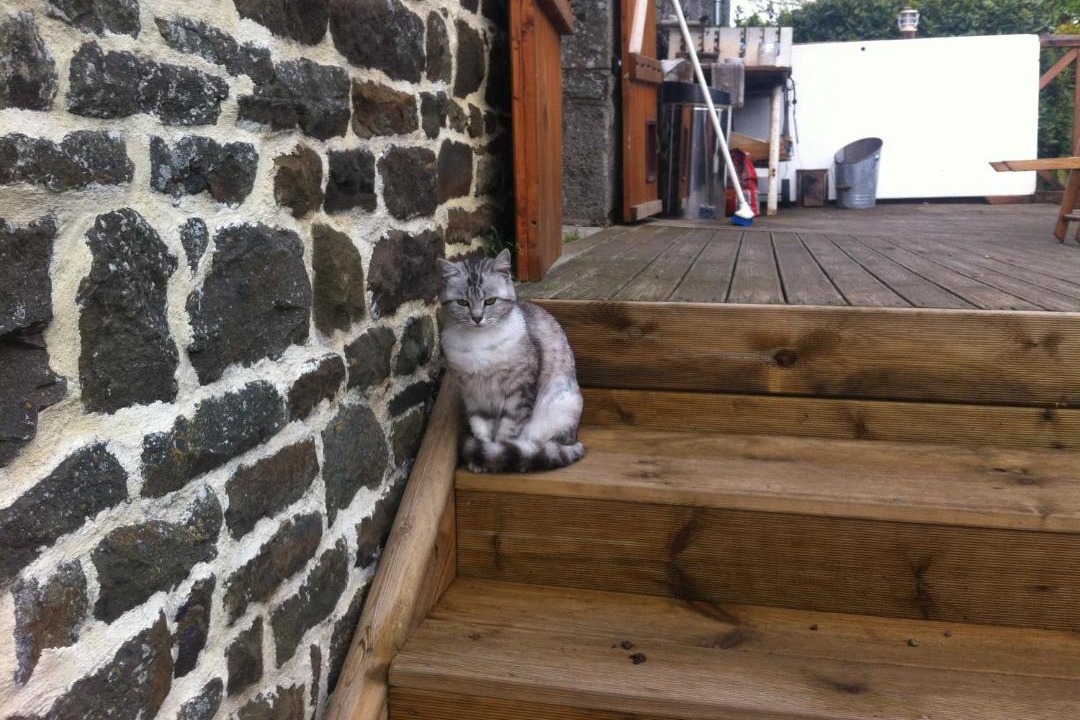 Photo of Others in Montaigu-les-Bois