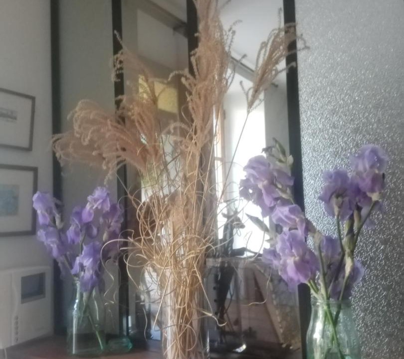 Photo of Others in Bussiere - Cadiere