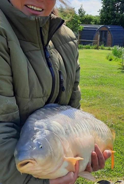 Photo of Others in Beccles