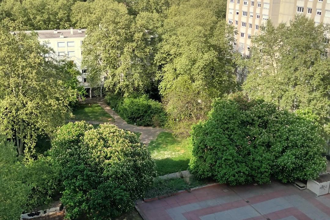 Photo of Others in Tonkin Nord