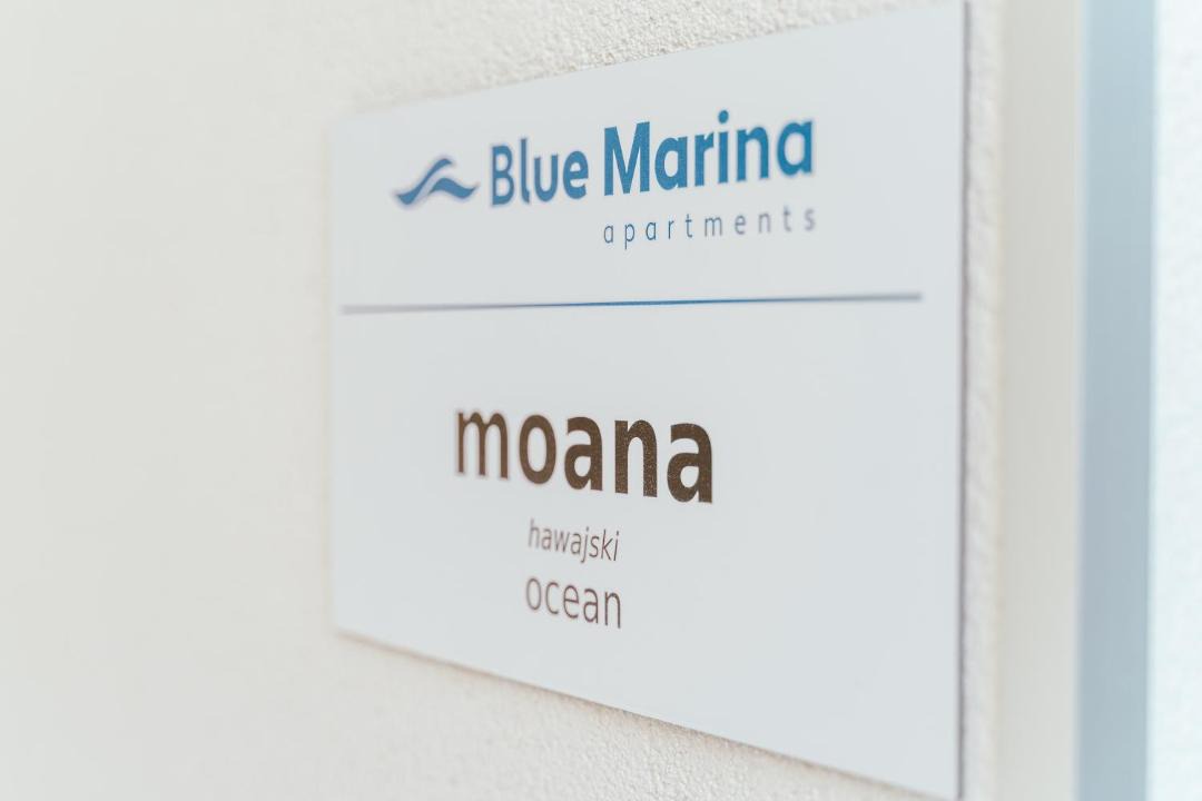 Photo of Others in Marina