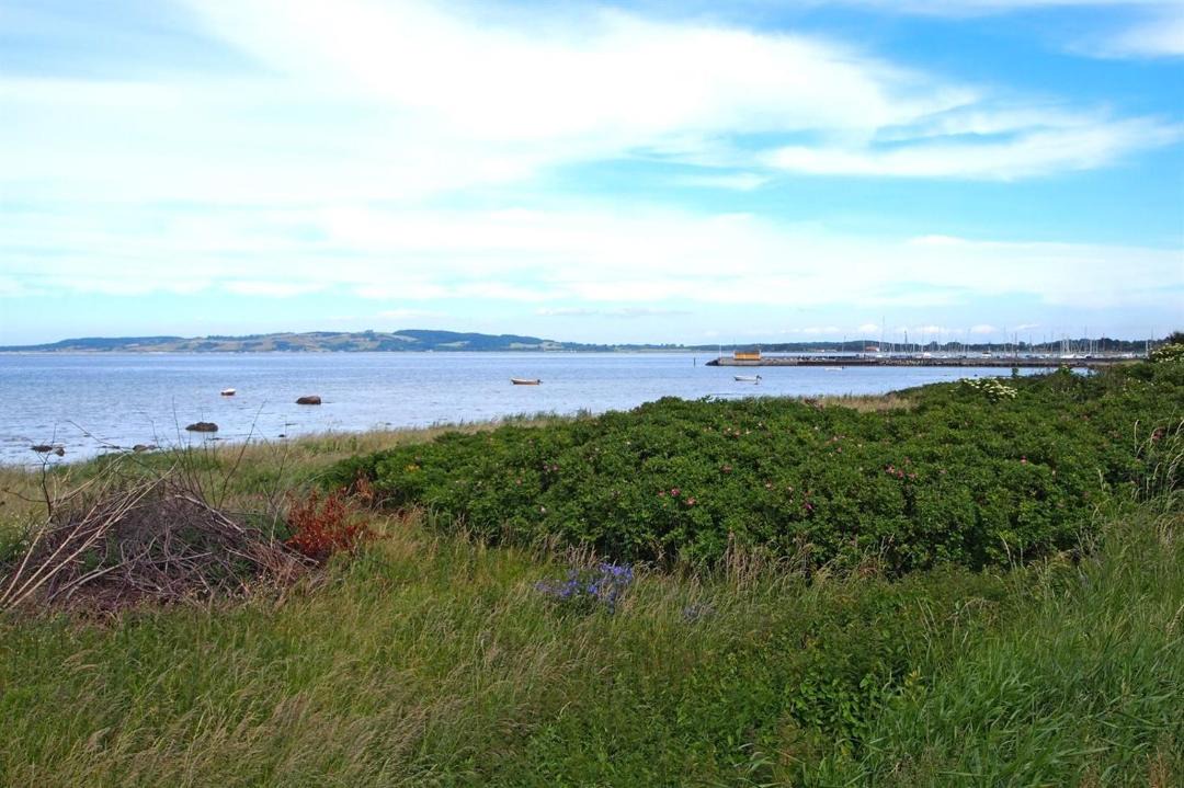 Photo of Outdoor in Havnsø