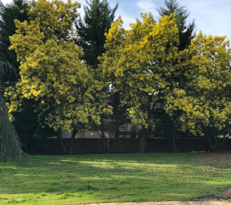 Photo of Others in Dax