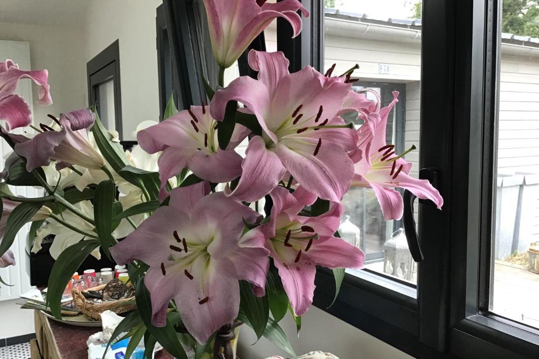 Photo of Others in Coueron