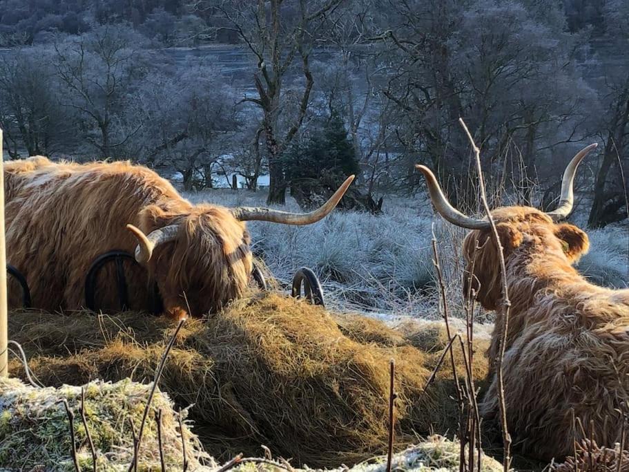 Photo of Others in Balquhidder
