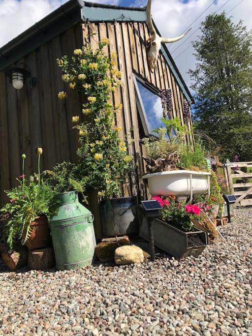 Photo of Others in Balquhidder