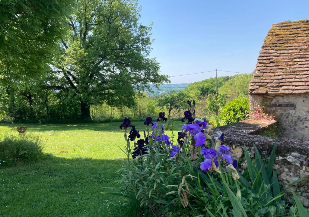 Photo of Others in Saint-Chamassy