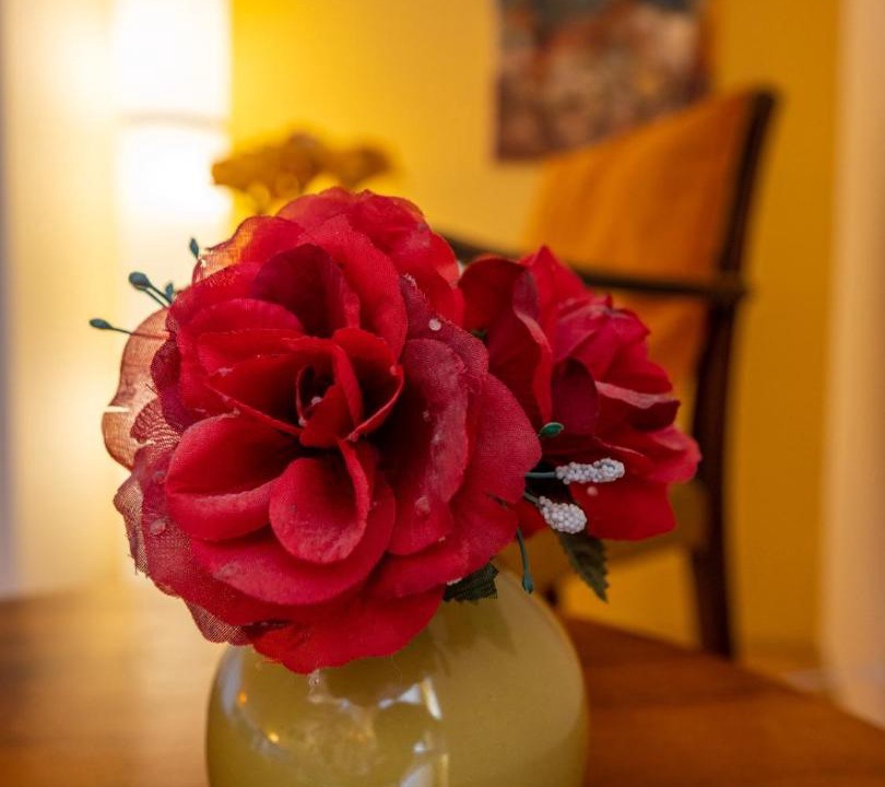 Photo of Others in Saint-Chamassy