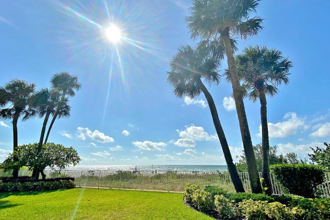 Photo of Outdoor in Indian Shores
