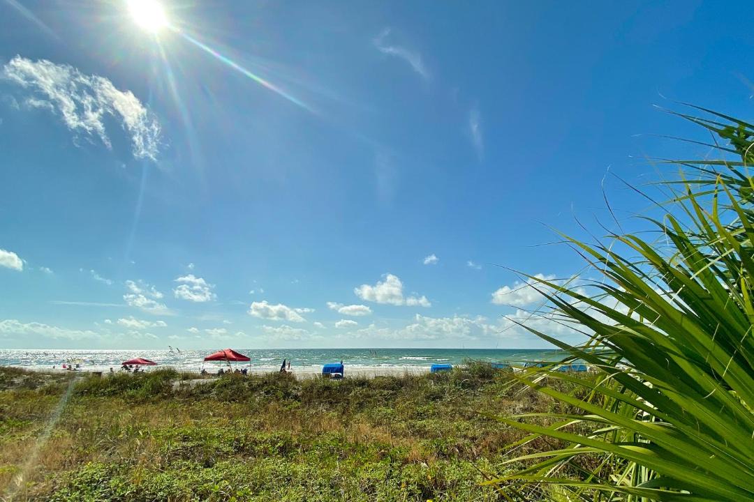 Photo of Outdoor in Indian Shores