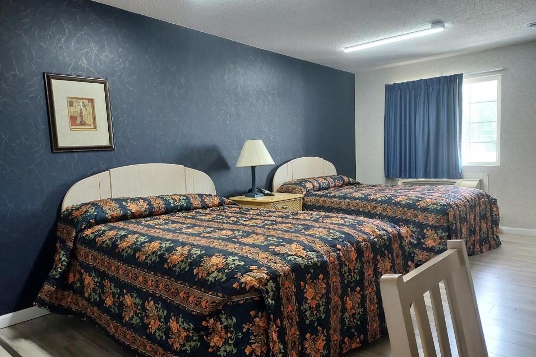 Photo of Others in Galloway