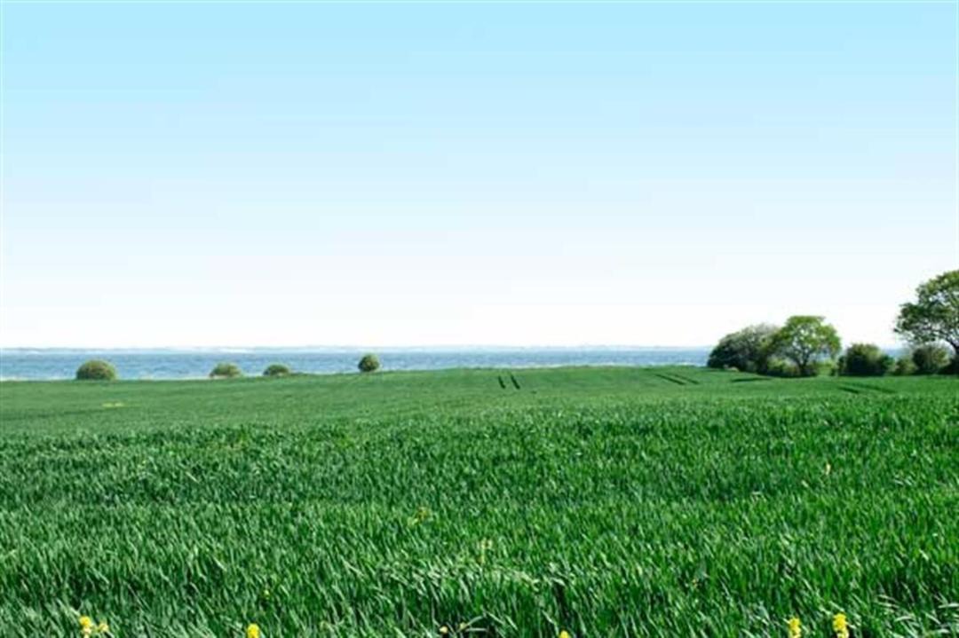 Photo of Outdoor in Asserballeskov