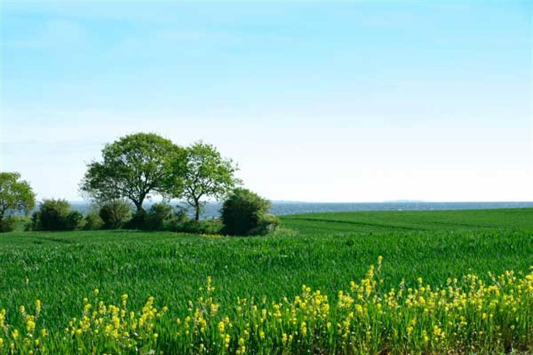 Photo of Others in Asserballeskov