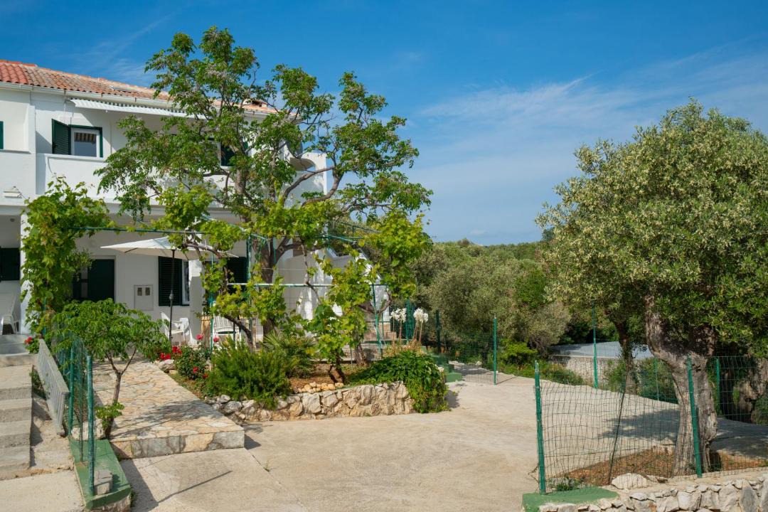 Photo of Others in Novalja