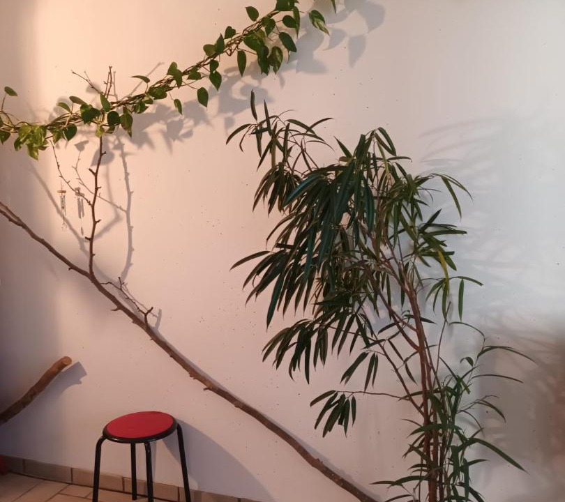 Photo of Others in Tonkin Nord