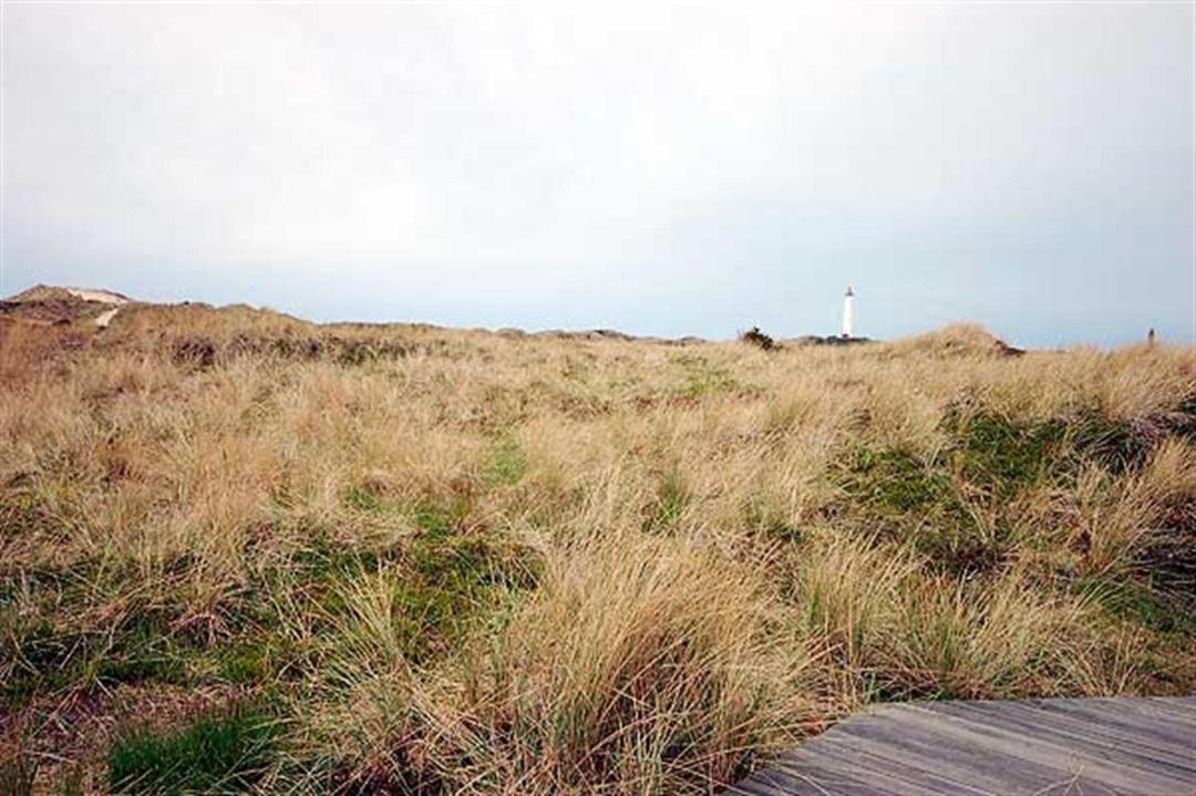 Photo of Outdoor in Nørre Lyngvig