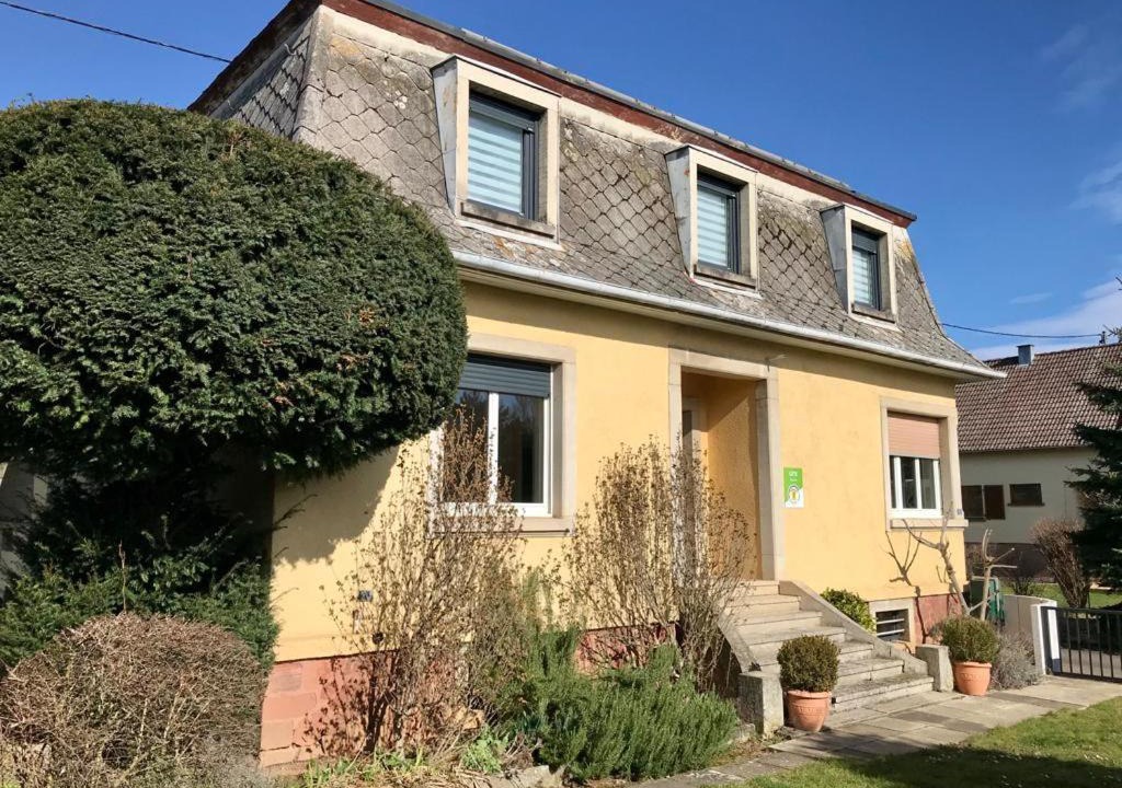 Photo of Others in Kirchheim