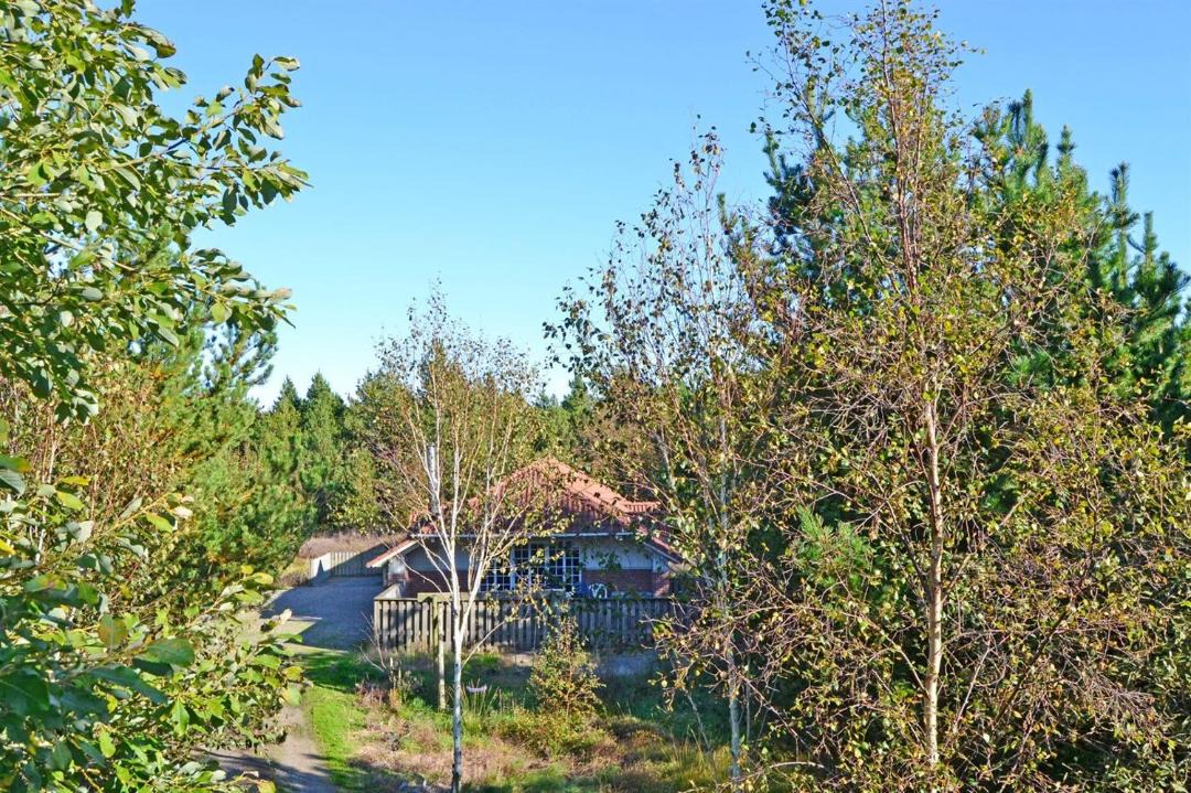 Photo of Outdoor in Kongsmark