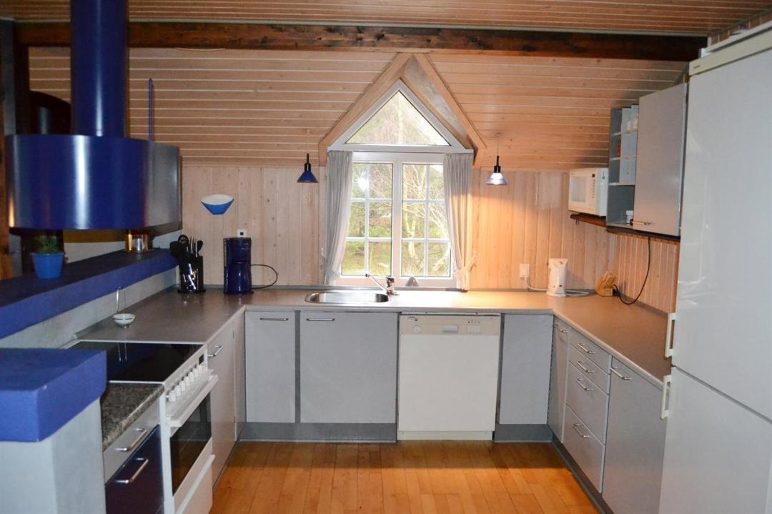 Photo of Kitchen in Kongsmark