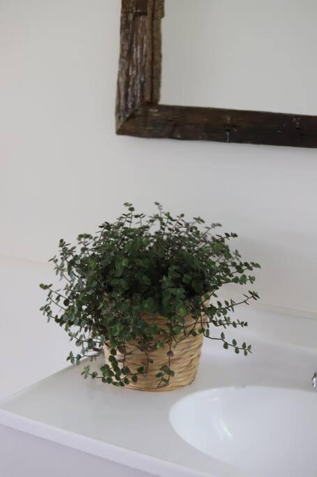 Photo of Others in Waikato District