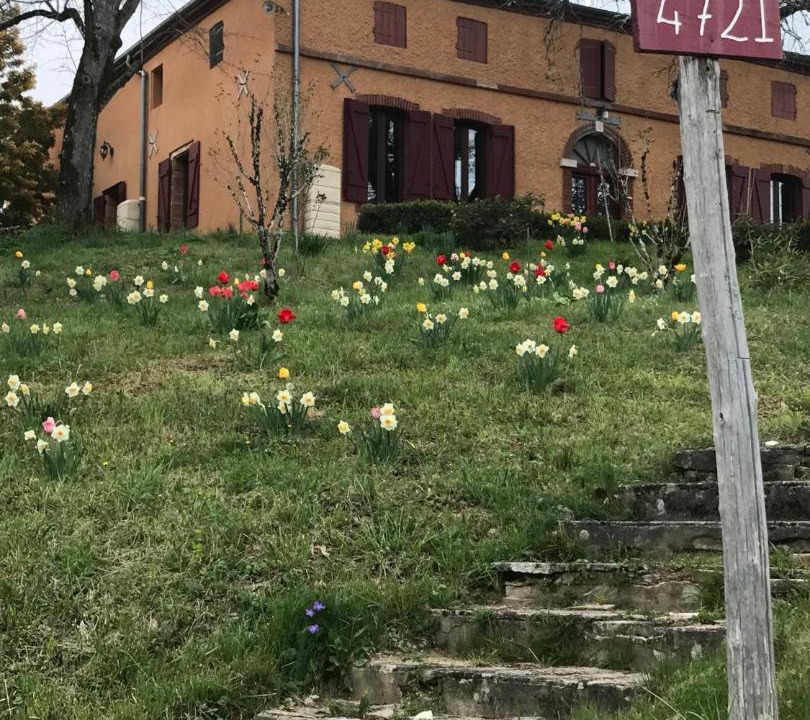 Photo of Buildings in Moissac