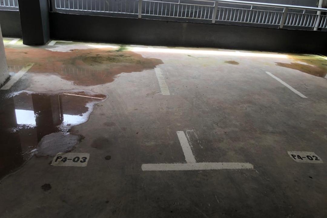 Photo of Others in Brinchang