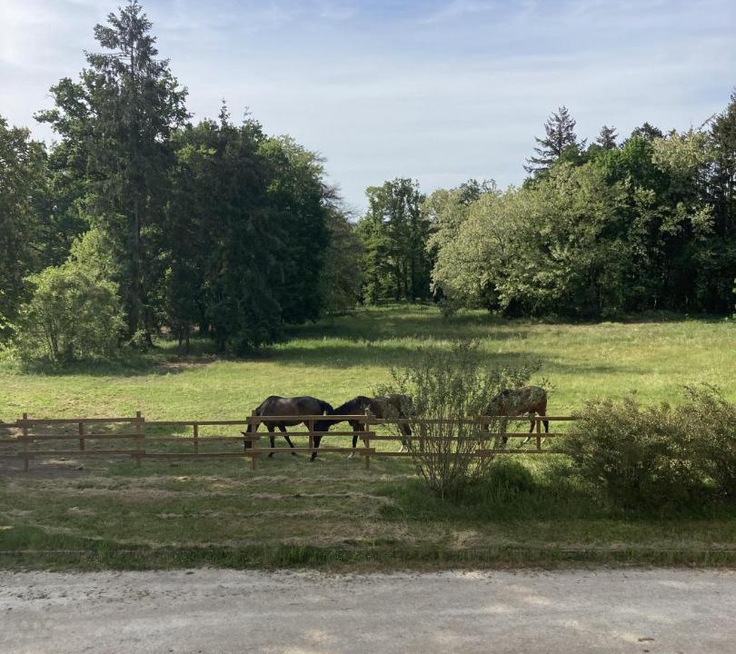 Photo of Others in Loriges