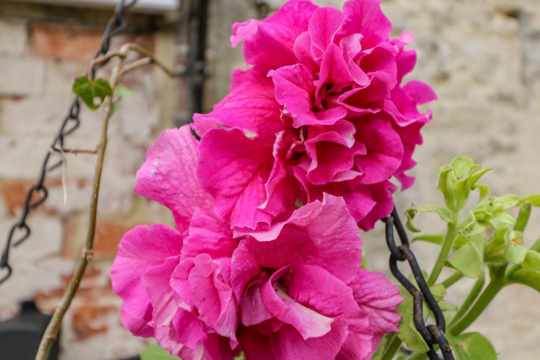 Photo of Human In Picture in Lyneham