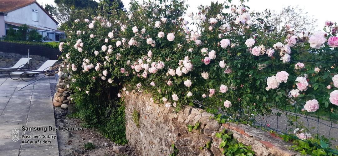 Photo of Others in Alairac