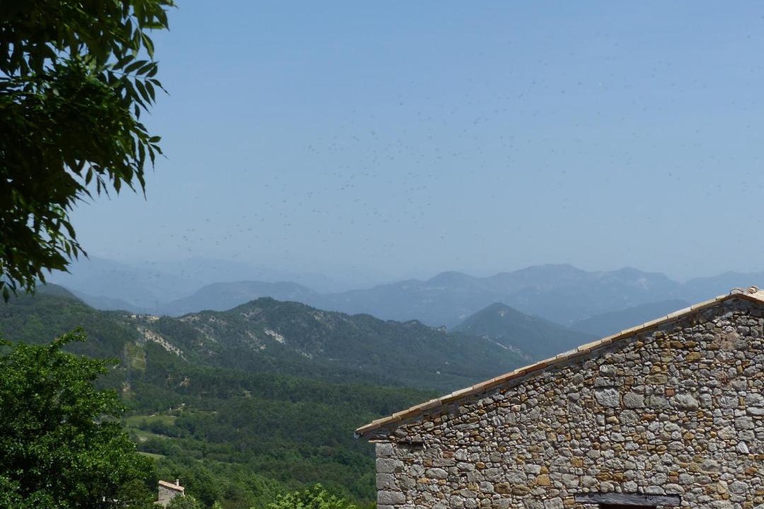 Photo of Others in Brianconnet