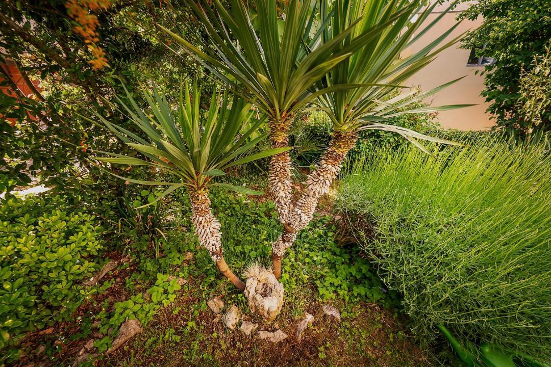 Photo of Outdoor in Vantacici