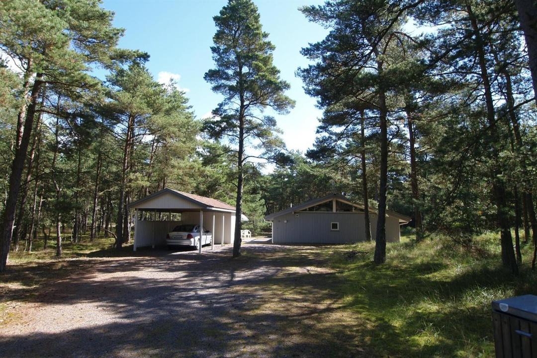 Photo of Others in Spidsegard