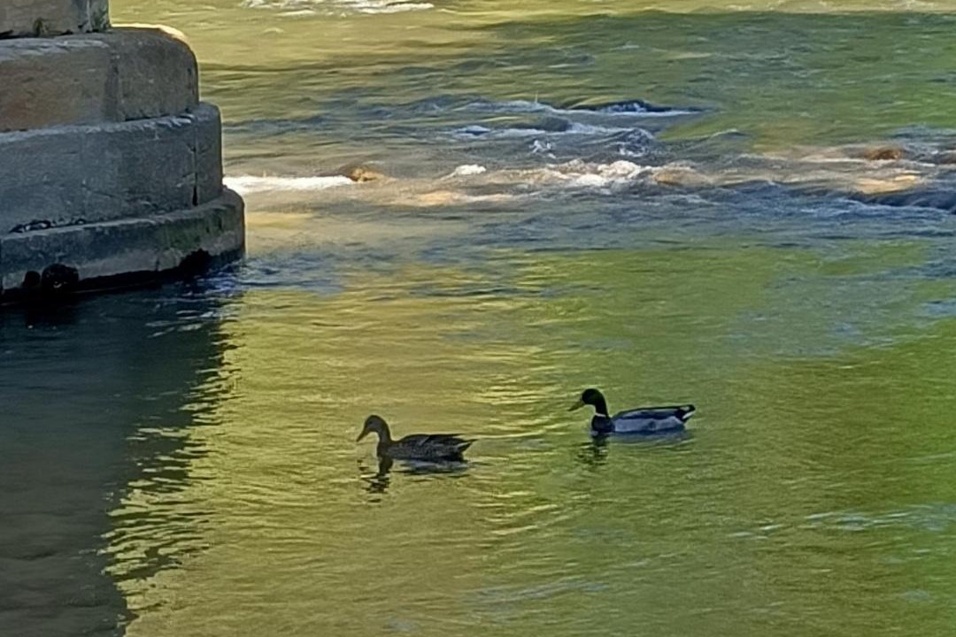 Photo of Others in Campagne-sur-Aude