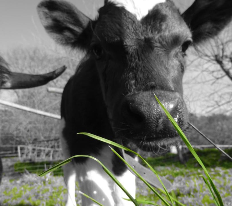 Photo of Others in Tremeoc